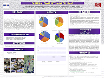Final Poster for presentation group one